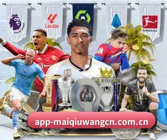 买球网 APP - maiqiuwang